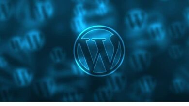 كيف تنشئ مدونة من أي نوع في WordPress؟ - أنماط التخصيص